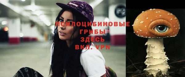 Альфа ПВП Кодинск