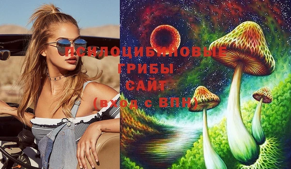 скорость Кущёвская