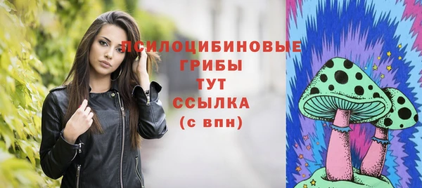 молекула духа Корсаков