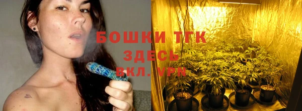 гидропоника Коряжма