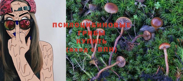 молекула духа Корсаков