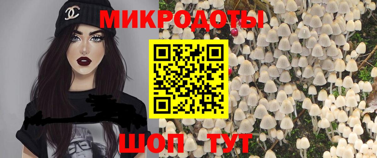 как найти закладки  Вход с VPN  Назрань  Галлюциногенные грибы GOLDEN TEACHER 